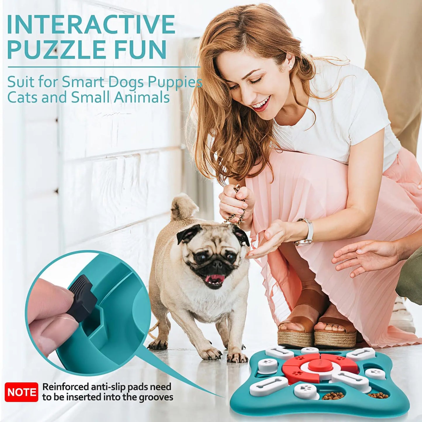 Dog IQ Training and Brain Stimulation