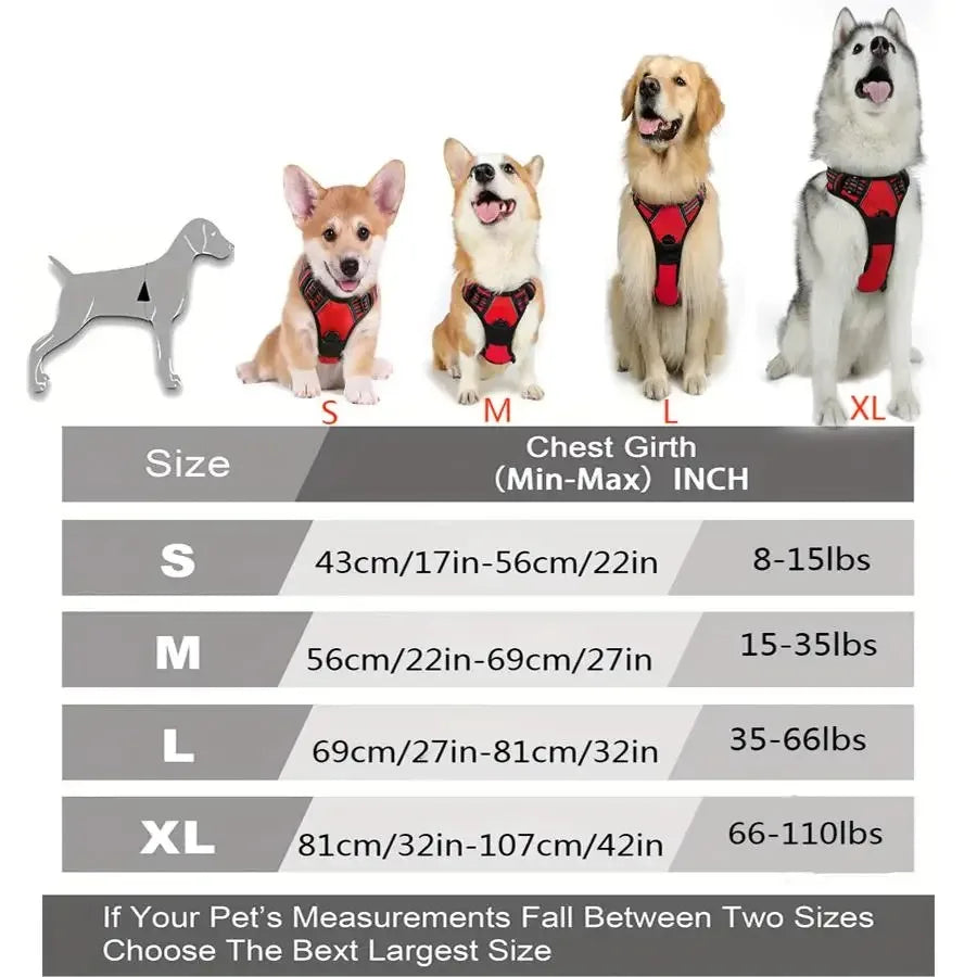 Dog Harness and Leash Set - Small to Medium Dogs