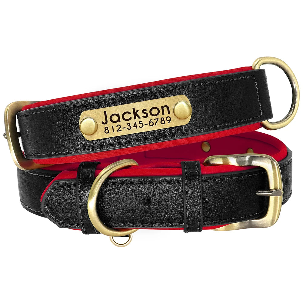 Paws & ID Custom Engraved Collar