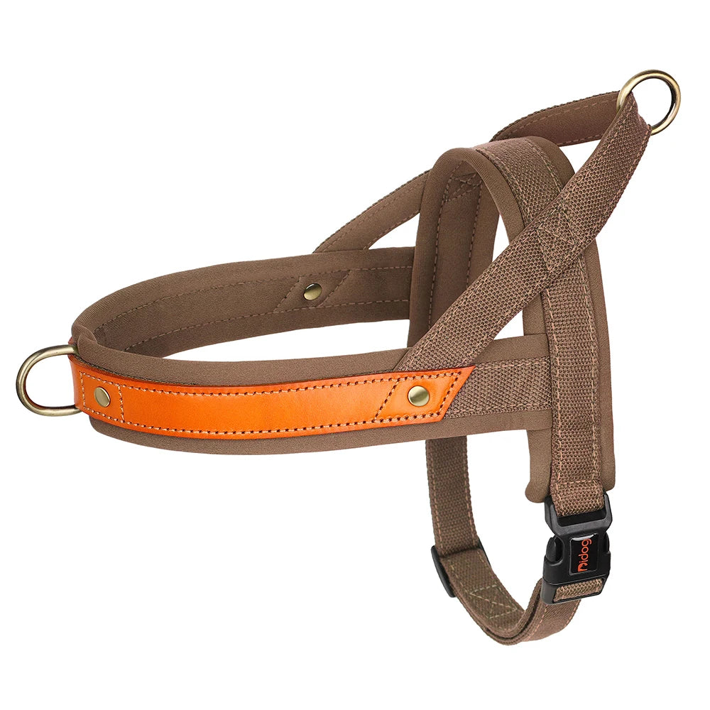Gentle Walk Harness