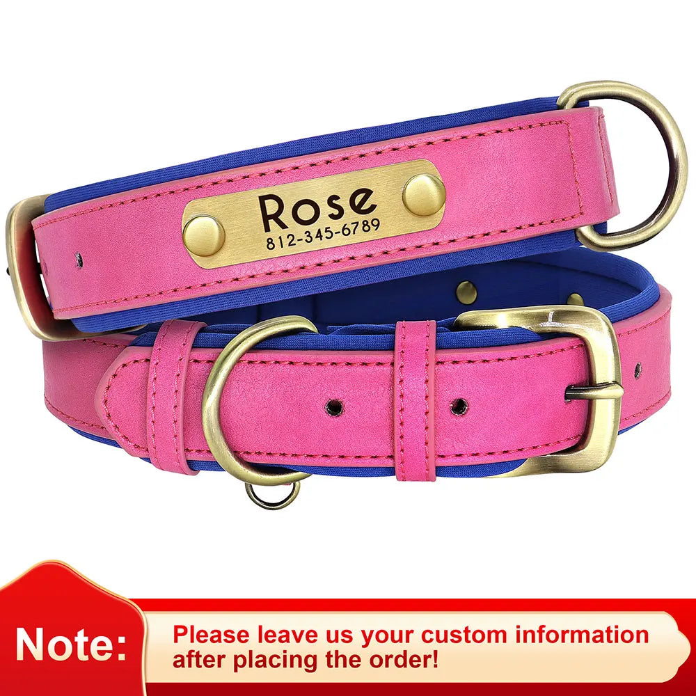 Paws & ID Custom Engraved Collar