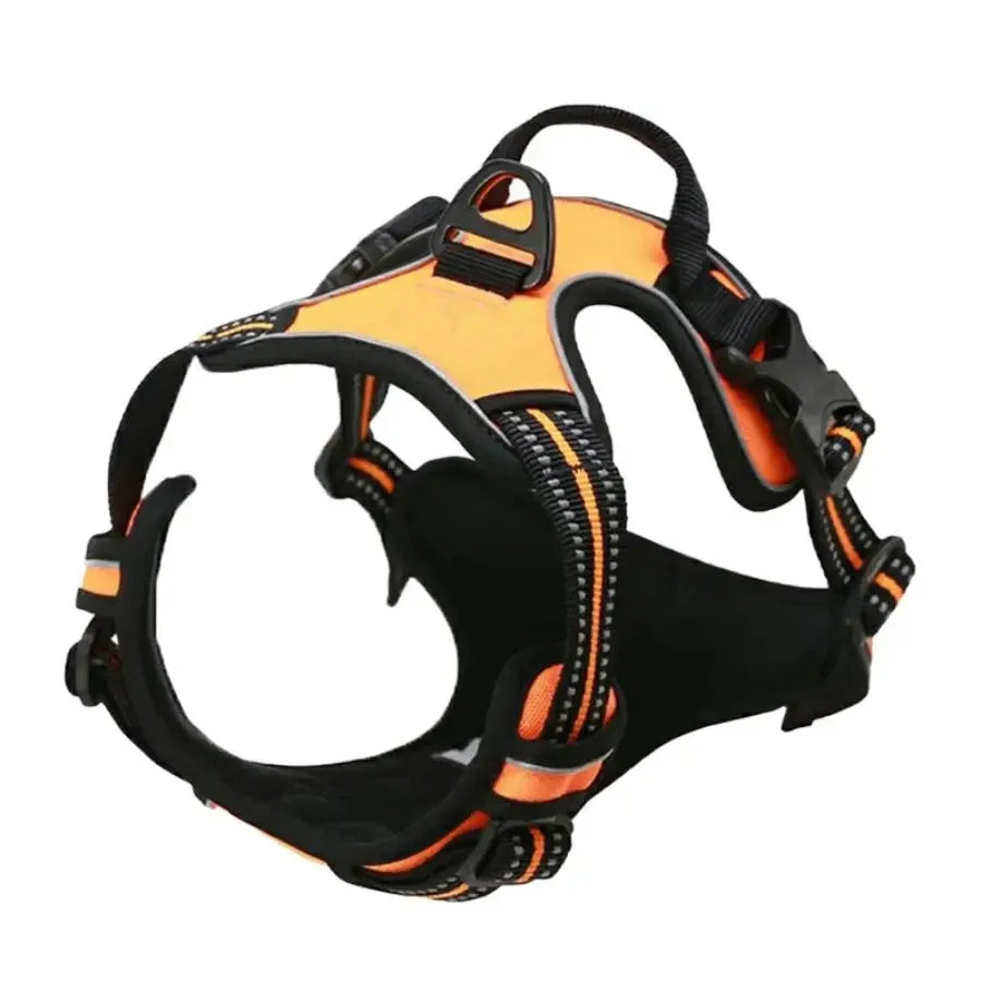 Dog Harness and Leash Set - Small to Medium Dogs