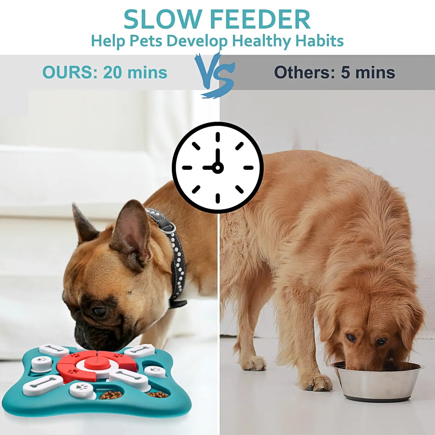 Dog IQ Training and Brain Stimulation