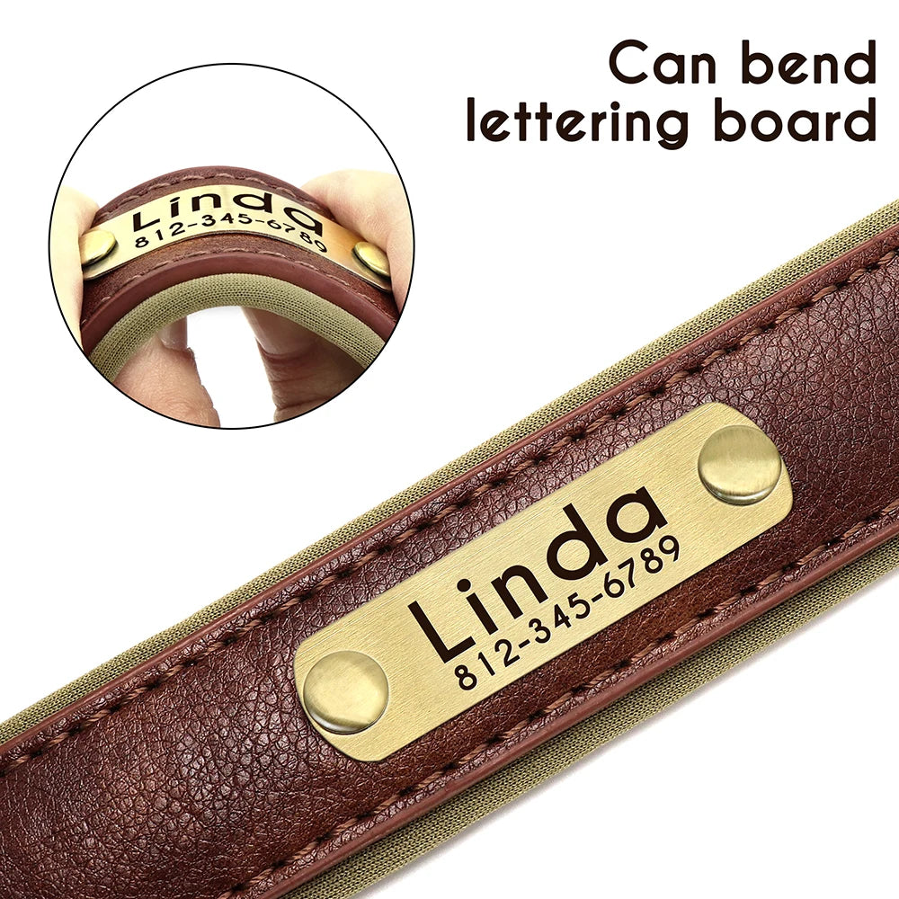 Paws & ID Custom Engraved Collar