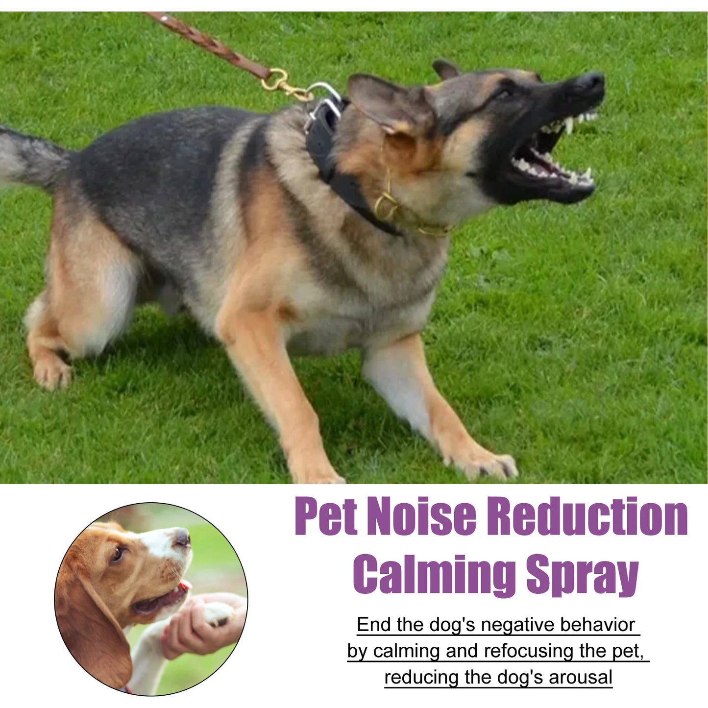 Pet Anxiety Relief Spray - 2 Pack (50ml)