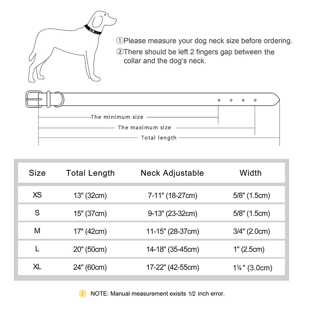 Paws & ID Custom Engraved Collar