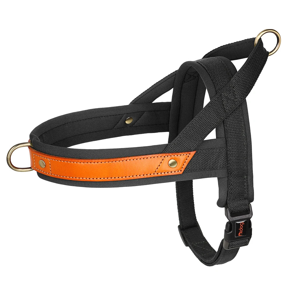 Gentle Walk Harness