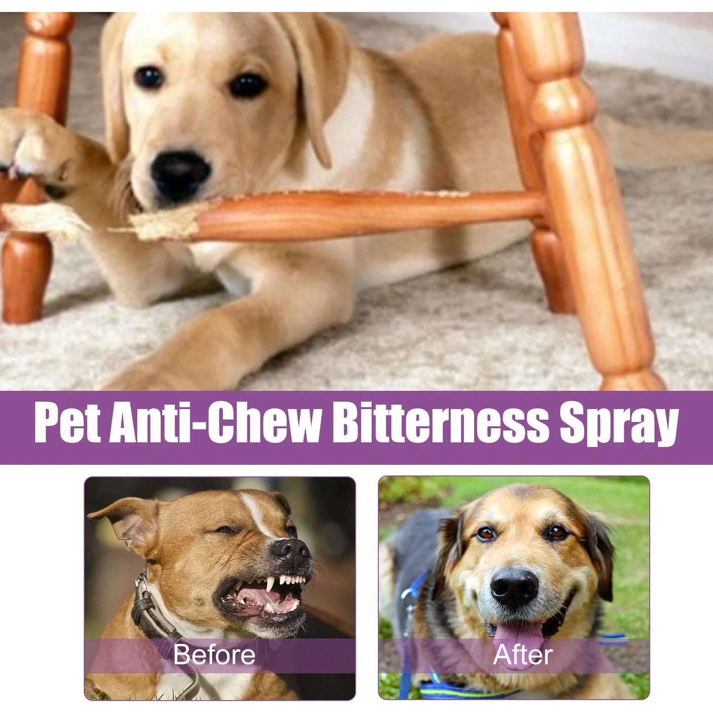 Pet Anxiety Relief Spray - 2 Pack (50ml)