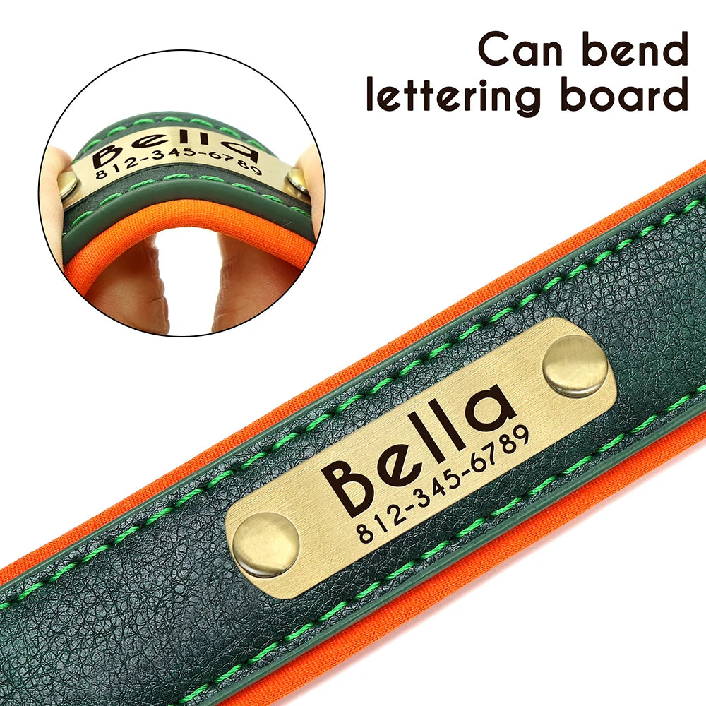 Paws & ID Custom Engraved Collar