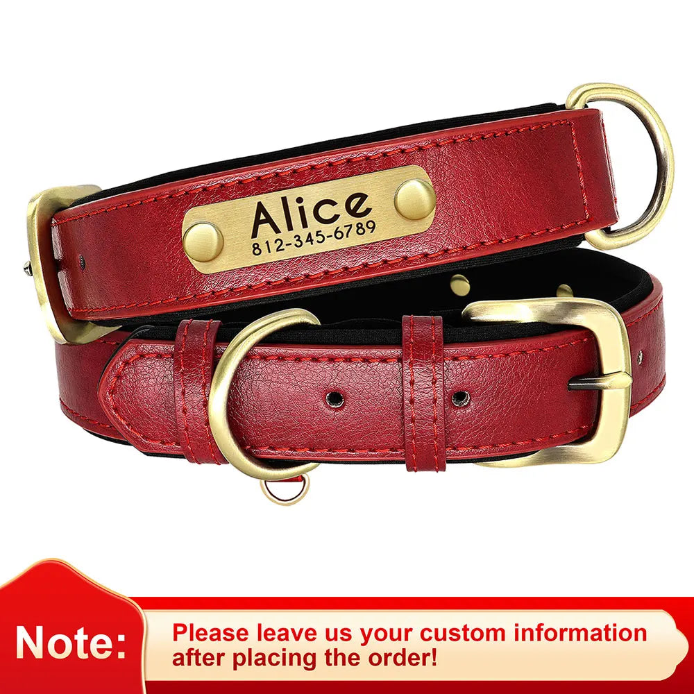 Paws & ID Custom Engraved Collar