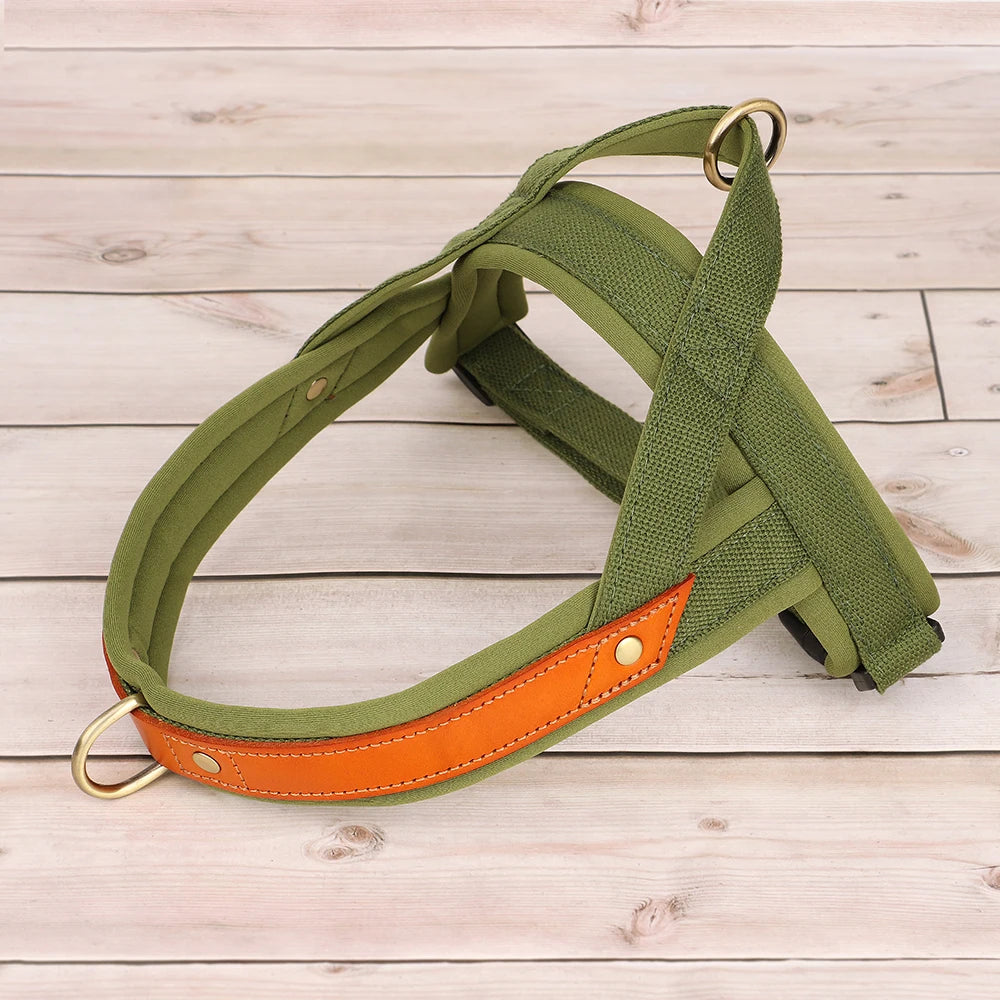 Gentle Walk Harness