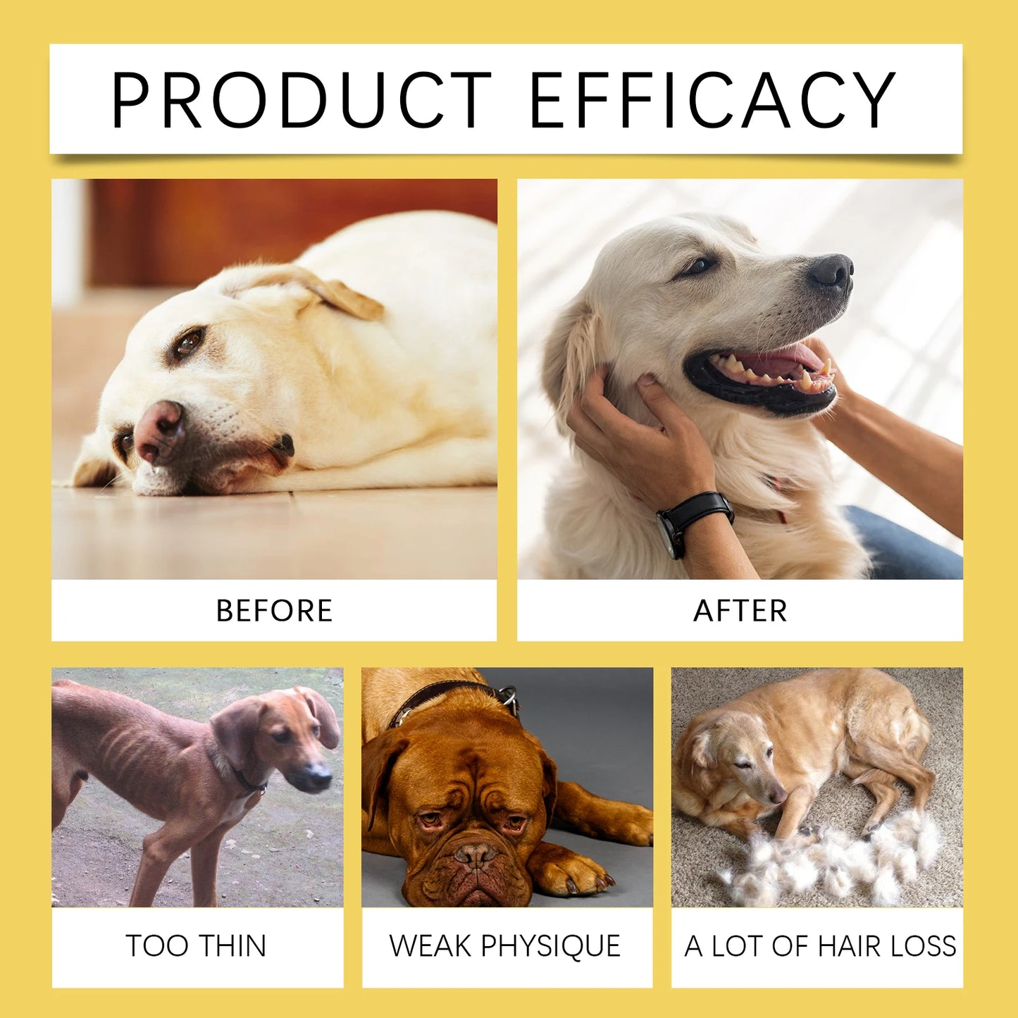 YEGBONG 60ml Herbal Anti Inflammatory Pet Supplement Liquid Drops