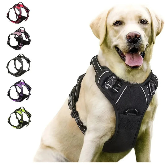 Dog Harness and Leash Set - Small to Medium Dogs