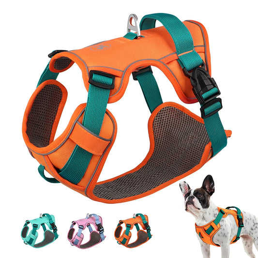 Breathe-Easy Safety Harness