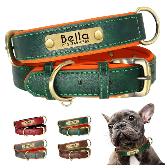 Paws & ID Custom Engraved Collar