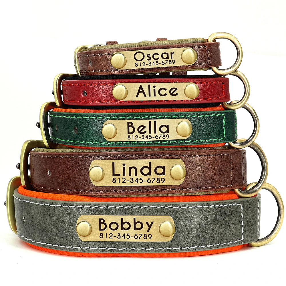 Paws & ID Custom Engraved Collar