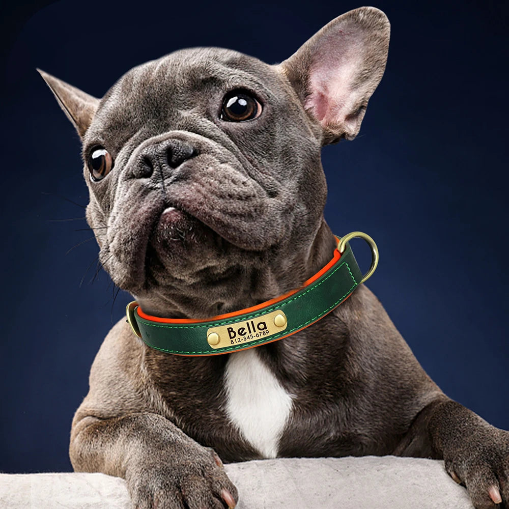 Paws & ID Custom Engraved Collar