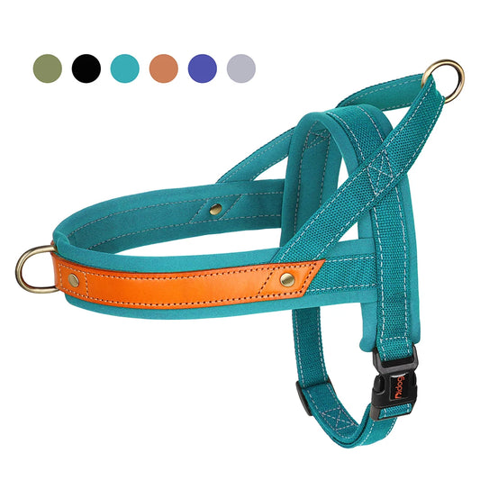 Gentle Walk Harness